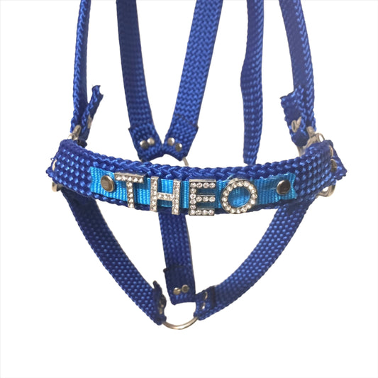 Close-up image of a bespoke horse halter showcasing intricate personalized craftsmanship