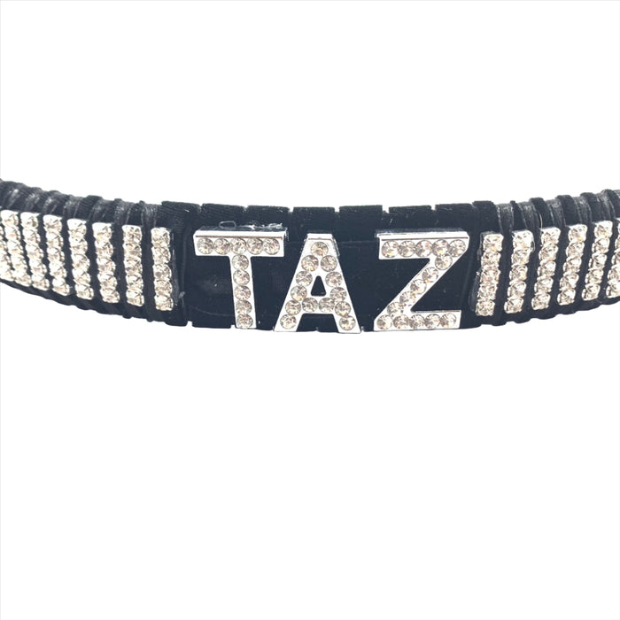 Close-up of a horse browband embellished with personalized crystal details.