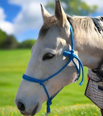 Adjustable Horse Rope Halter: Custom Fit for Comfort