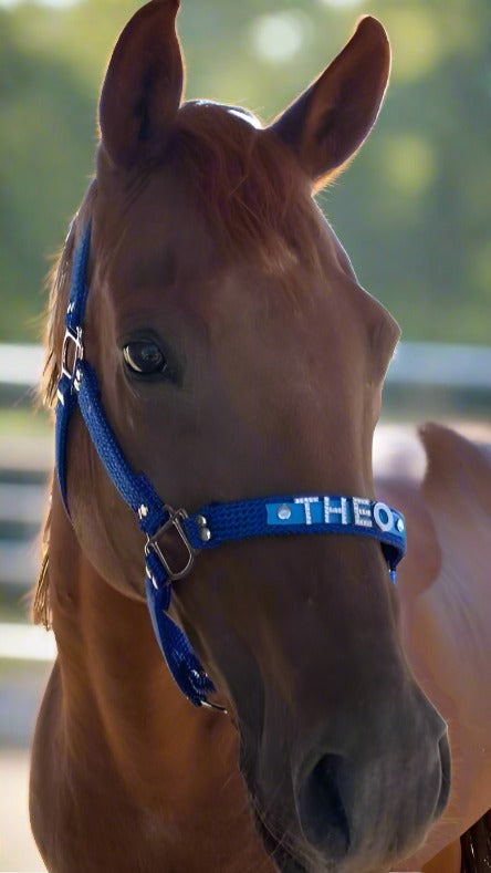 Detailed shot of a personalized equestrian halter highlighting unique beadwork and design.