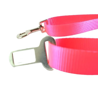 Webbing dog car safety strap featuring robust metal hardware components, designed to withstand tension and securely restrain pets for safe transportation