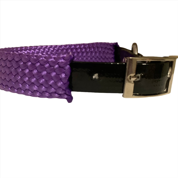 Fashionable Purple PVC Collar, Trendy Style That Matches Your Pet's Personality