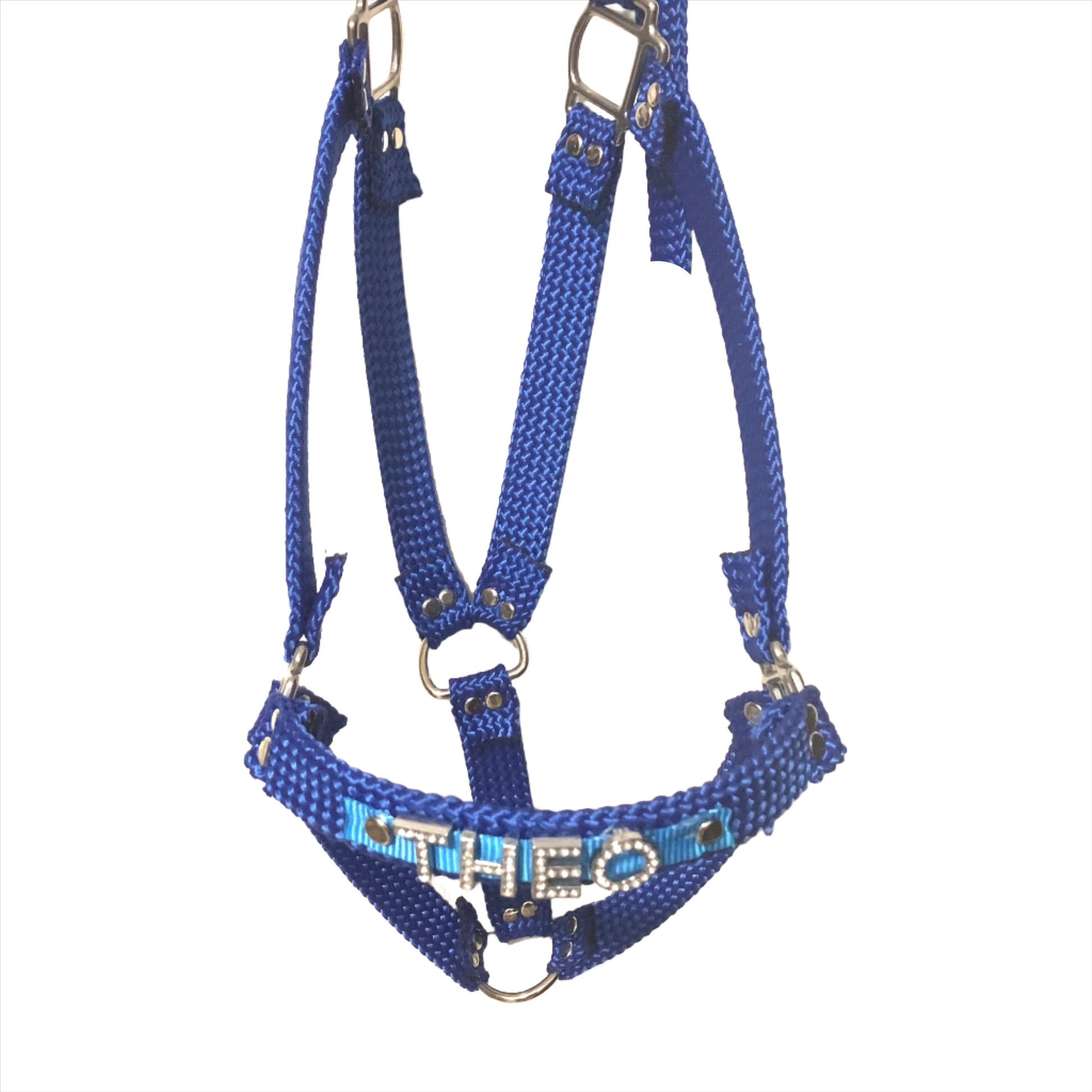 Close-up image of an equestrian halter adorned with unique personalized touches.