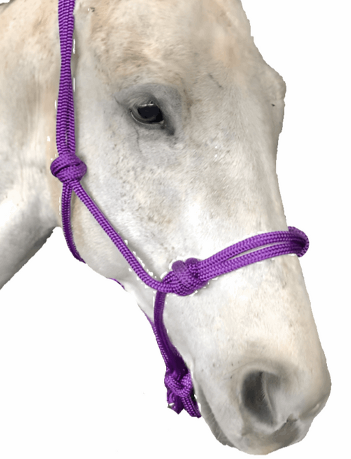 Premium Horse Rope Halter: Secure and Stylish