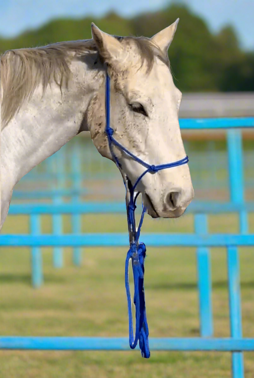 High-quality horse lead rope in premium material, durable and stylish for equestrian use