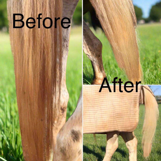 Before And After Image Of Grey Horses Tail Using L'Equino Lusso - Premium Grey Shampoo