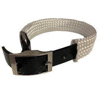 PVC Dog Collars