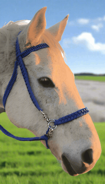 Adjustable paracord side pull bridle converter nosebands from L'Equino Essentials, ideal for customized horse bridles