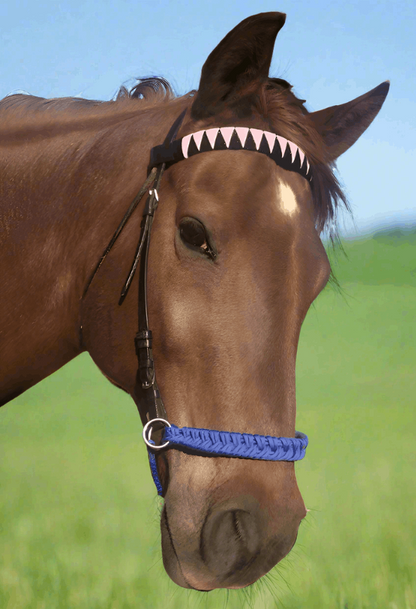 L'Equino Essentials paracord side pull bridle converter nosebands, offering practicality and style