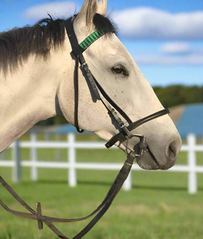 Close-up of equestrian browband in green with shark tooth design