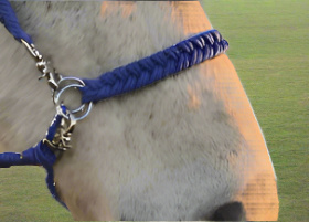 Paracord side pull bridle converter nosebands by L'Equino Essentials, designed for ease of handling