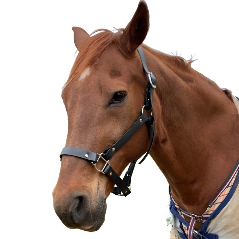 Close-up view of a sleek black PVC horse halter.