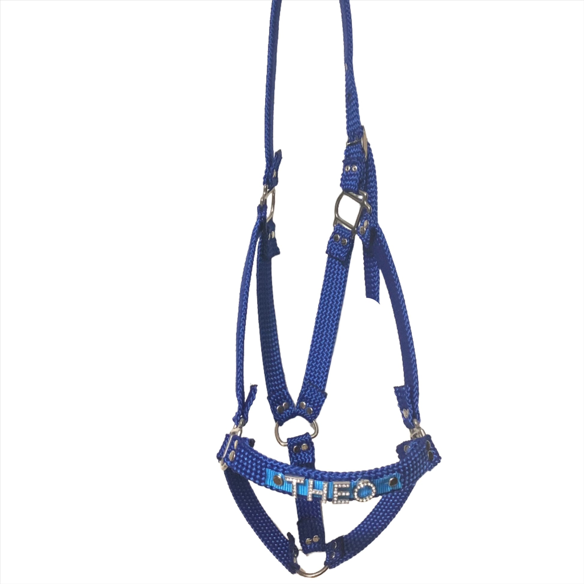 Detailed view of a customized horse halter featuring personalized color and design.