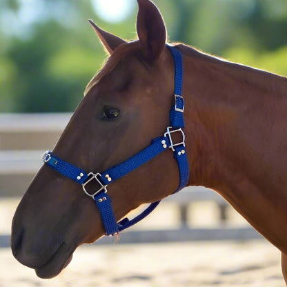 Close-up of a personalized leather halter adorned with decorative rivets and crystal letters