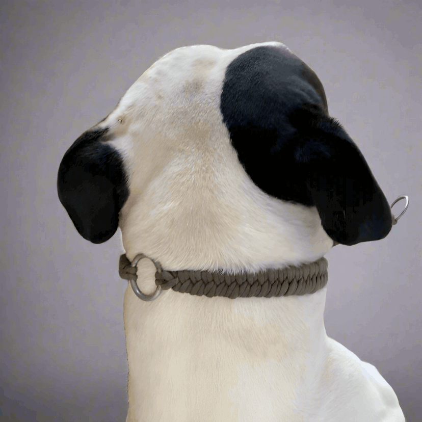 Grey Para-cord Dog Collars Back View - L'Equino Essentials