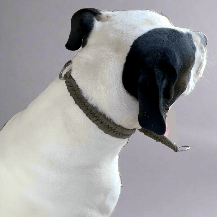 Grey Para-cord Dog Collars Side View - L'Equino Essentials