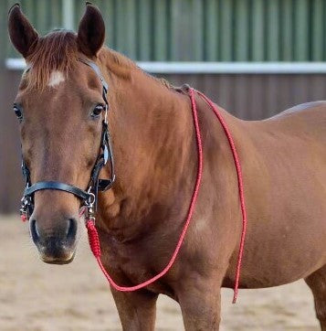 Leather Side Pull Bridle