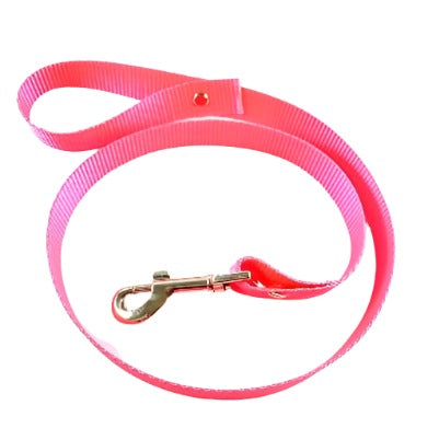 Pink Webbing Dog Lead Top View - L'Equino Essentials