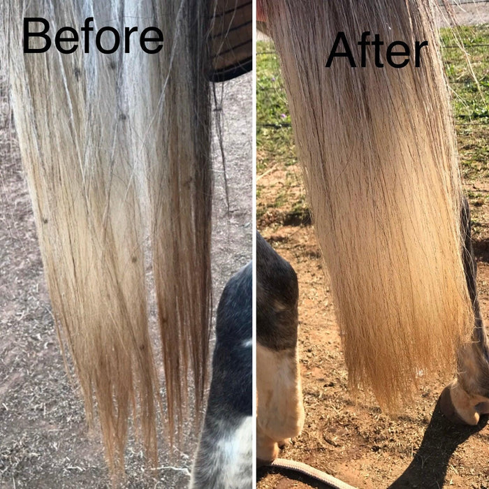 Mane & Tail Detangler Before and After