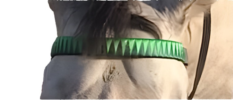 Ribbon Browbands, Shark tooth - Statement Horse Tack