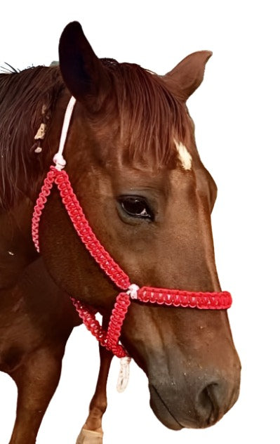 Rope Halter with Pattern - Statement Horse Tack