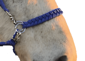Side Pull Bridle Converter - Statement Horse Tack