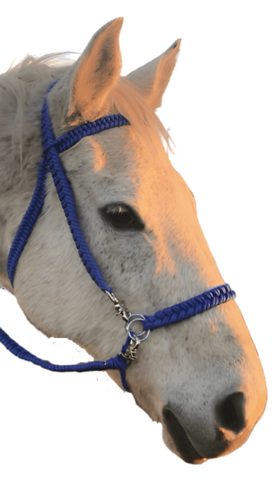 Side Pull Bridle Converter - Statement Horse Tack